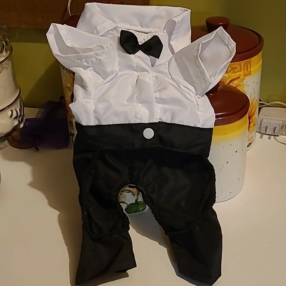 Small dog tuxedo